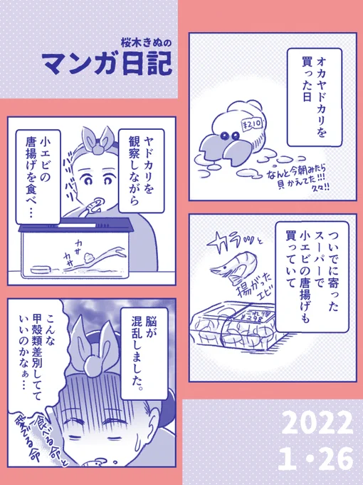 【甲殻類と私! 日記】ご興味ある方は少ないかと思いますがまたもオカヤドカリのドリル(年齢不詳)の話です#コミックエッセイ #きぬまんが #コルクラボマンガ専科 