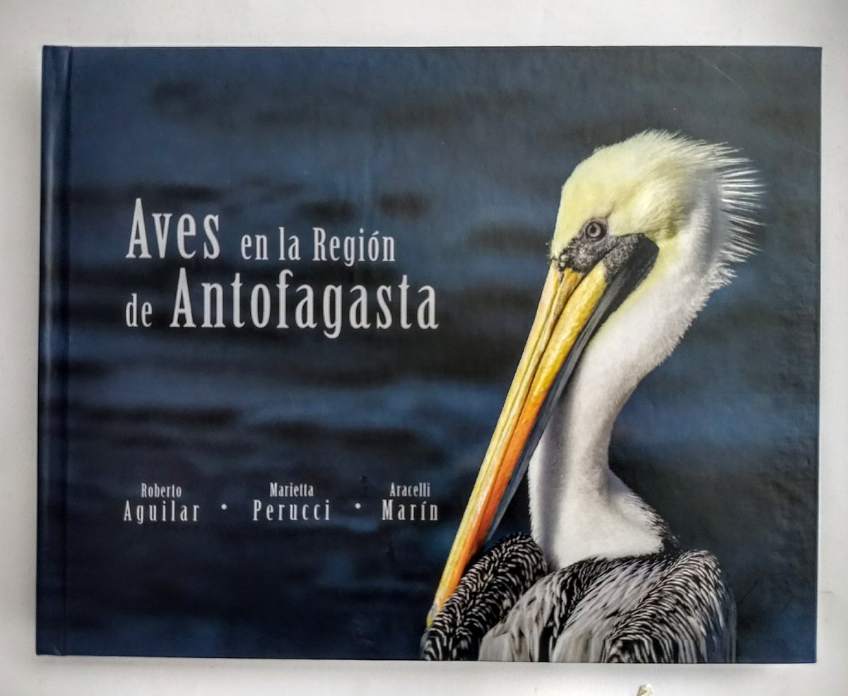 ⛱ Recomendación lectura de verano☀
En esta sección queremos compartir algunos textos para que puedan disfrutar aún más del verano 😁 
Hoy les recomendamos el libro Aves en la Región de Antofagasta. 
Pueden encontrarlo en la <a href="/BibliotecAntofa/">Biblioteca Regional Antofagasta</a>  👀