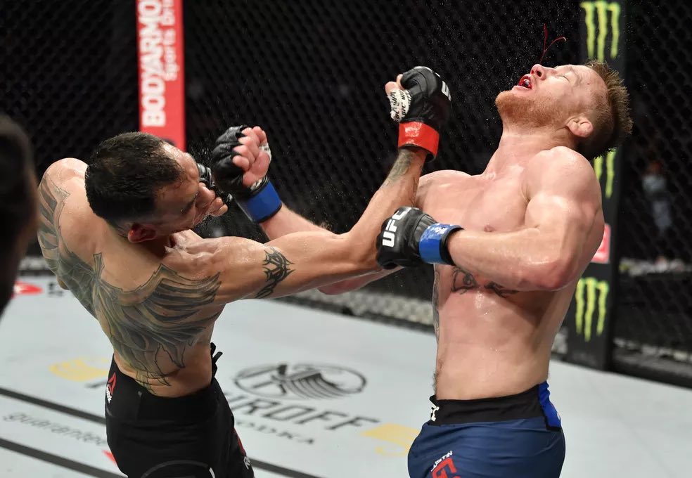 conorsleftankle's tweet photo. @wiseguyMMA https://t.co/qY79pulzEO