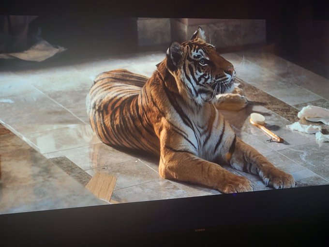 This movie is a trip 😂 @SoullessDeityGG We should definitely do this with some friends 🤣 https://t.c<a class="tags" target="_blank" title="On Twitter" href="/?out=eyJ0eXAiOiJKV1QiLCJhbGciOiJIUzUxMiJ9.eyJpYXQiOjE3MjYxODk2OTMsImlzcyI6InR3cG9ybnN0YXJzLmNvbSIsIm5iZiI6MTcyNjE4OTY5MywiZXhwIjoxNzU3NzI1NjkzLCJyZWRpcmVjdF91cmwiOiJodHRwczovL3R3aXR0ZXIuY29tL1NvdWxsZXNzRGVpdHlHRyJ9.bjwGx9qEcuJTCLzaXRfpU1CTuwmDRKm4gqRR7c08oJ7fcA2Mv10b0GVuGMqm9im0sWUI5PGbcP9KHsRgzlBZIw">@SoullessDeityGG</a>