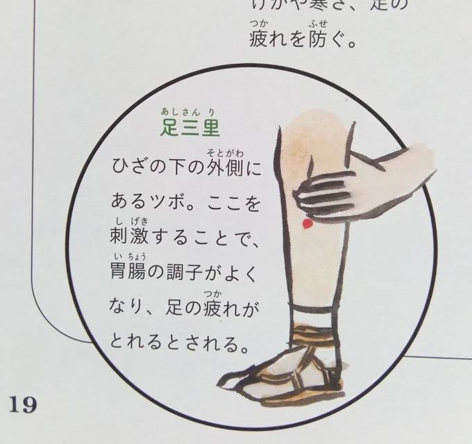 足しんどい時と、胃腸の調子がわるい時は、足三里というツボを押せと芭蕉先生も言うてるし
#miyumos絵 