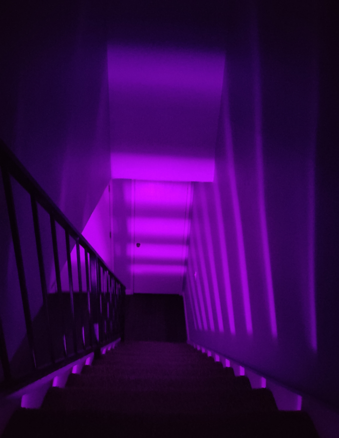 v_ness_l's tweet photo. my stairway became a horror movie when i changed the lighting https://t.co/lrDFb0GSq4