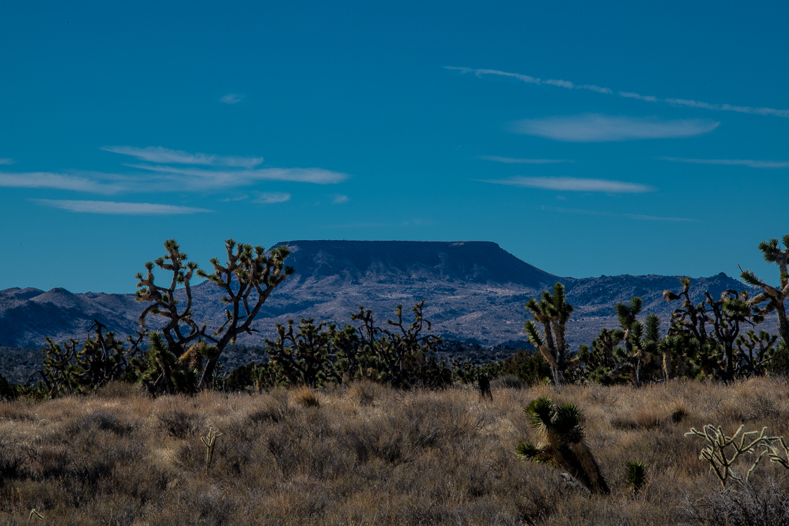 Photojeeper's tweet photo. A close view of Table Top Mountain with the help of a 300mm lens.

#jeep #mojave #mojavepreserve #emht #photography #photographytalk #nikon #fineart https://t.co/9scPP7yauG