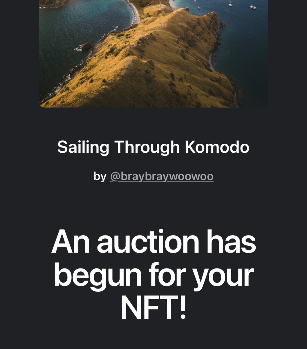 braybraywoowoo's tweet photo. the auction for Sailing Through Komodo was just kicked off by “supersven.eth” 

PLEASE shoot me a dm if you follow me so i can personally thank you! ❤️‍🔥

once this auction settles i will be sold out of photography NFTs 📸

https://t.co/M9NmEI1jPk https://t.co/H1KIfbtrgJ