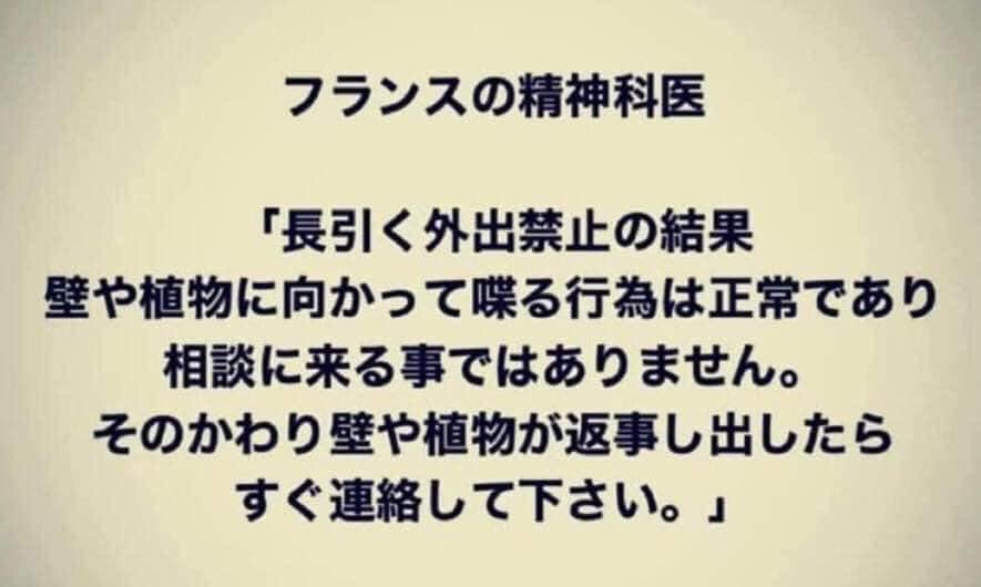 まだ壁との会話は成立してないのでセフト

引用元
【 https://t.co/uiIN4x9DqL 】 