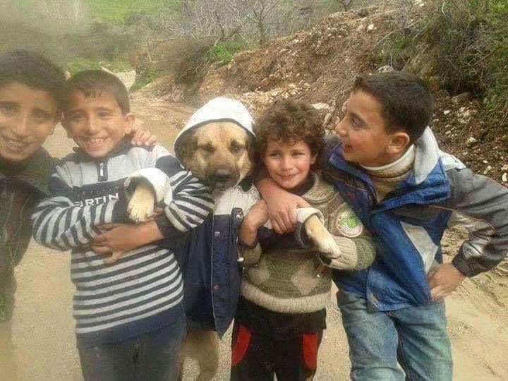 NecesitoUnPerro's tweet photo. Y no podía faltar el mejor amigo de todos en la foto!!!😍😍😍 https://t.co/n4quY02i1a