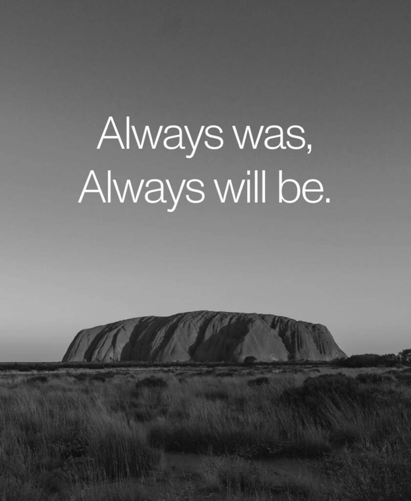 Breeder Studio tweet media