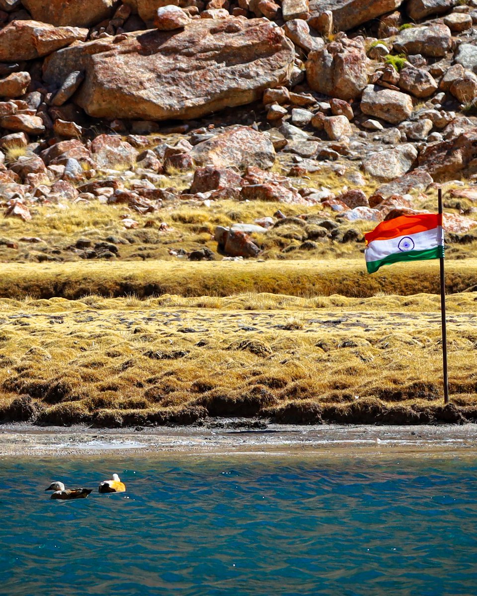 chalohimalaya's tweet photo. 𝐻𝒶𝓅𝓅𝓎 𝑅𝑒𝓅𝓊𝒷𝓁𝒾𝒸 𝒹𝒶𝓎. 🇮🇳🇮🇳🇮🇳

#RepublicDayIndia #HappyRepublicDay https://t.co/TKiTmswfqH