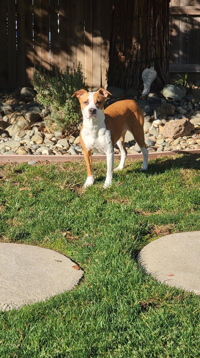 tool420311's tweet photo. @yourfavlil Was thinking of using my daughter's photo as my Profile pic... whatcha think? #pupDad #TrueRestingBitchFace https://t.co/dYDNmRldZG