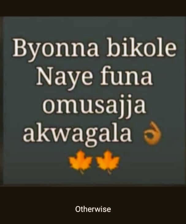 JauharaNamakula's tweet photo. Anti kwetega anyone interested🤷🤷🤷 follow me @JauharaNamakula and DM 🏃🏃🏃 https://t.co/litK15cfyH