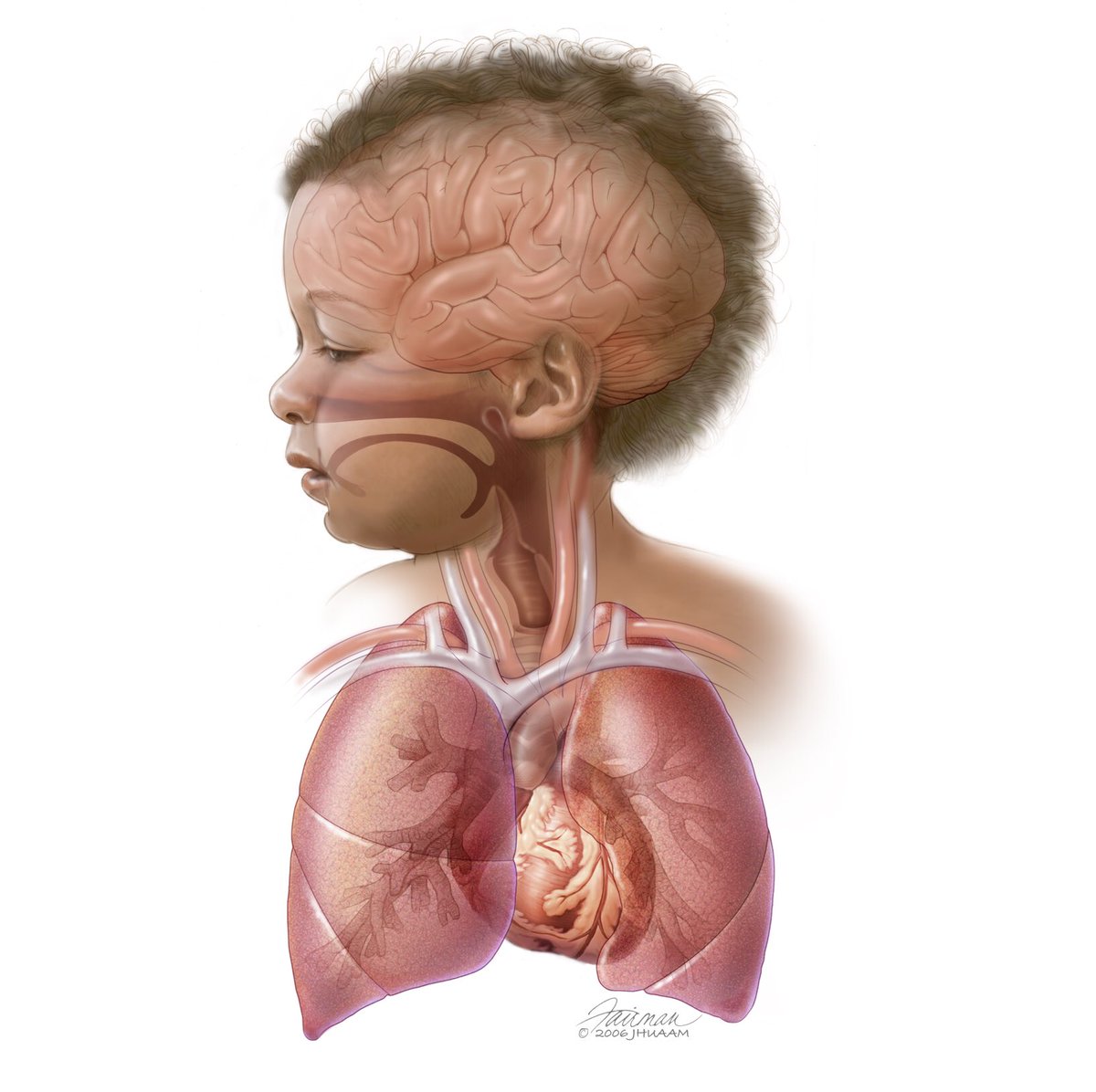 fairmanstudios's tweet photo. 1/9 #diversityinmedicalillustration. Let's talk about it. We are nowhere where we should be when it comes to representation. It continues to be a perpetual problem. Even though this is a fresh conversation, this isn't some new idea we medical illustrators just realized. https://t.co/T3IV6nMBhk
