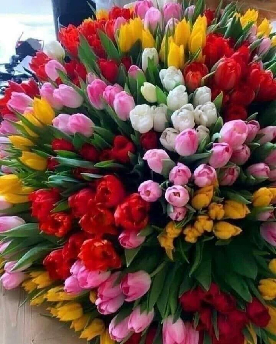 Valen_tinka777's tweet photo. 🌹
...Меняем новогодние игрушки на цветочки....
и.....  начинаем ждать Весну...) https://t.co/RXqafGNROO