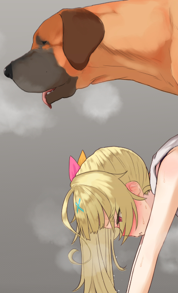 センシティブ設定にすれば動物も投稿出来るようにならない?無理?そう… 