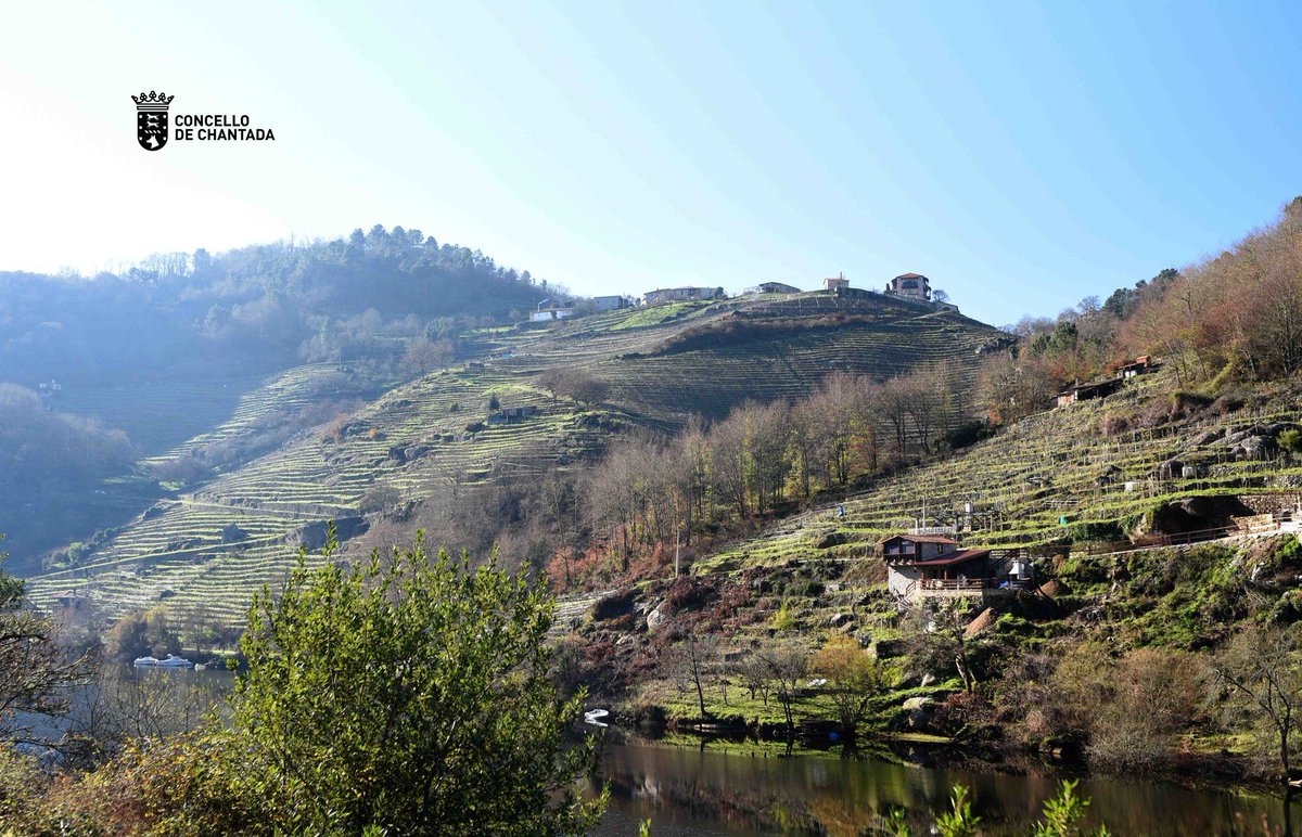 ViaRomana_es's tweet photo. O noso viñedo da Granxa e a nosa adega vivindo o inverno sen présas.
-
Nuestra viña de A Granxa y nuestra bodega disfrutando sin prisas del invierno.
https://t.co/GH2FewOh3I
#RibeiraSacra #AGranxa #VíaRomana https://t.co/4Ac2Jb9mJa