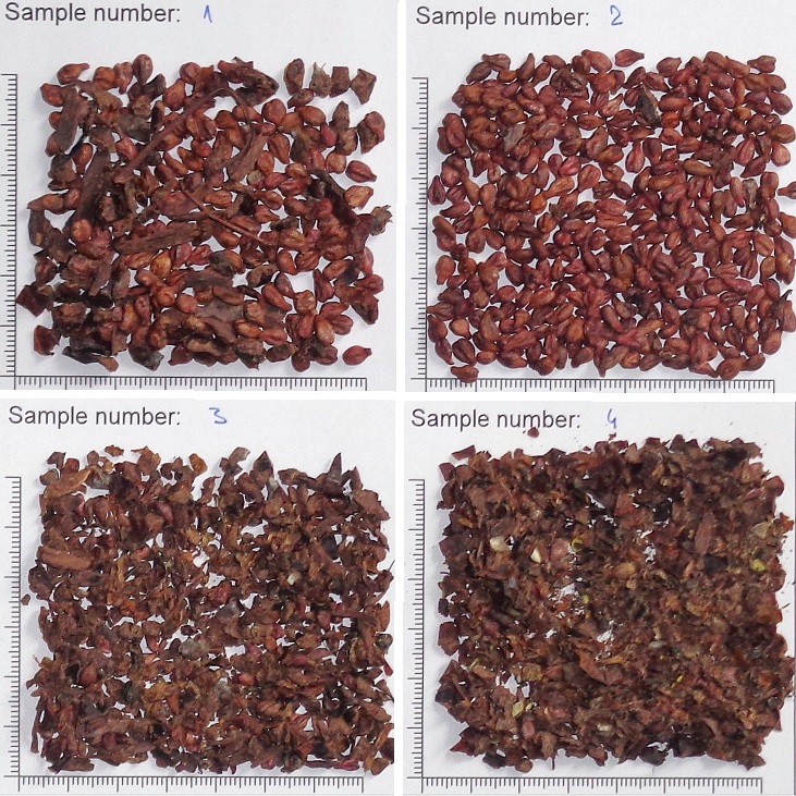 jk_machinery's tweet image. 📝Test sorting - Grape seed

For a customer from France 🇫🇷 we have performed test sorting of Grape seed on Laboratory Separator VibroCompact JCC 03.
There are 3 fractions from sieves and one from aspiration.

We do a lot of such test in #JKMachinery 
#graincleaning #grainsorting