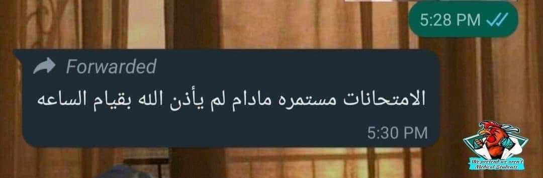 قسم التغذيه الترم التانى