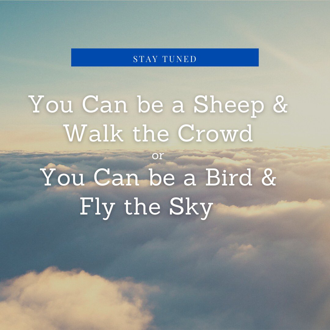328TonyL's tweet photo. If you aren’t willing to take risk, you can never take that first step to fly free. #staytuned #nft #freebird https://t.co/bLT23EDsr7 https://t.co/kMpacFcvUQ