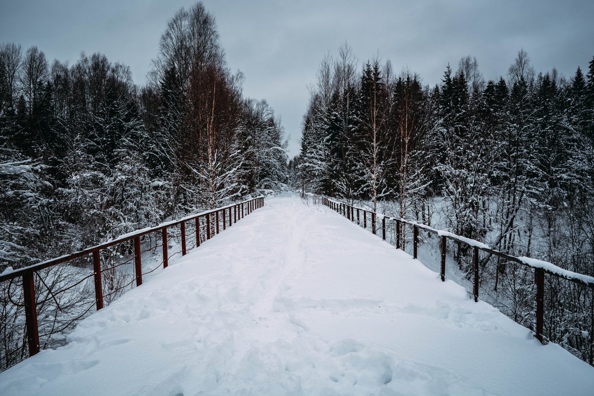 Rus_Novgorod tweet media