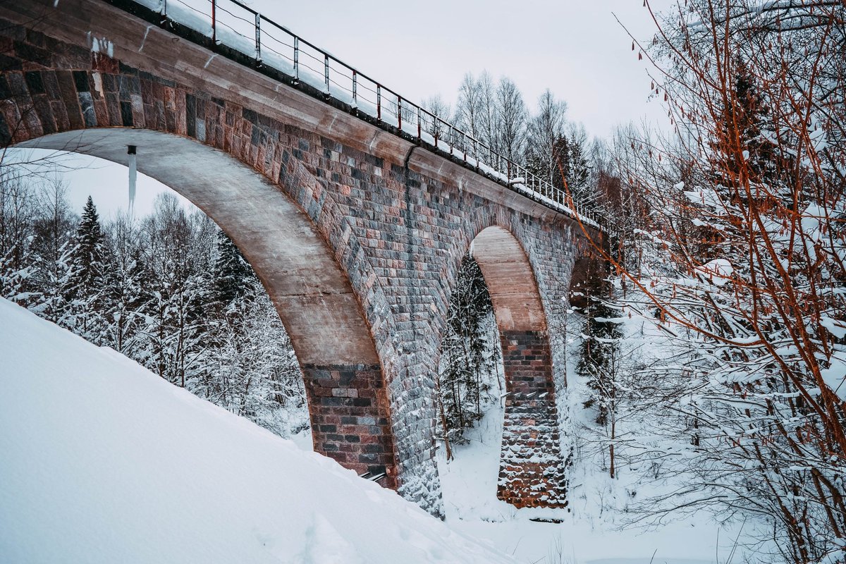 Rus_Novgorod tweet media