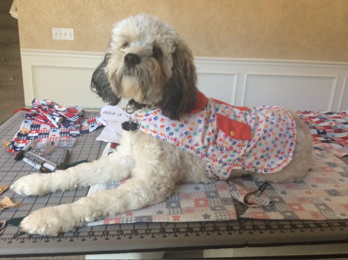 di_winston's tweet photo. Ohh my sweet goofy boy Rizzo. This is his way of helping me make product for my booth at the Farmers market. Apparently I'm not cutting the fabric correctly..he's such a slave driving perfectionist..that I love w all my heart❤❤ #myboy #Ilovedogs #dog #farmersmarket #lilhelper https://t.co/31Wc8XJizq