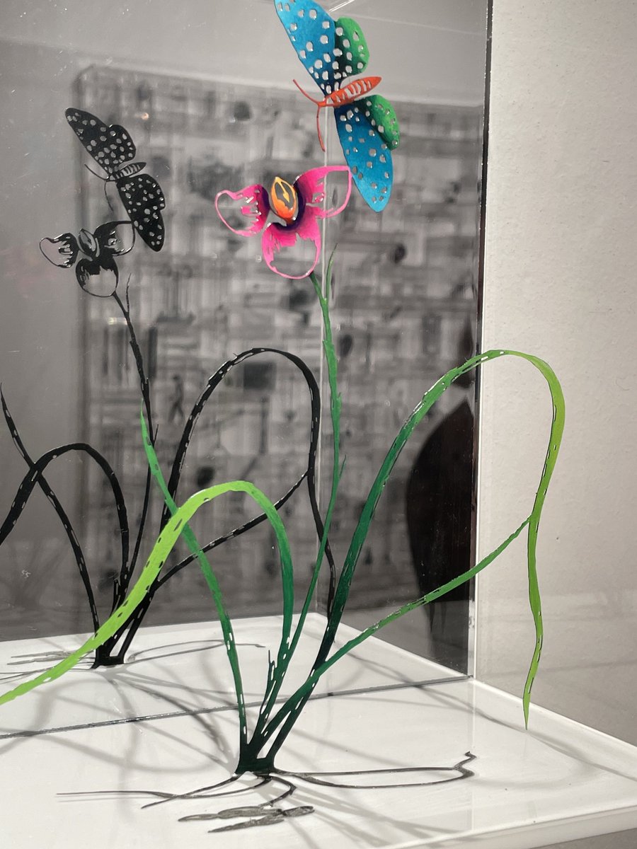 fniccs's tweet image. ไปดู exhibition ของ Zadok Ben-David ที่ Kew garden มา ทุกชิ้นคืออลูมิเนียมฉลุเป็นรูปพืชล่ะ แล้วเอามาจัดเรียงกันเป็นทุ่ง ละเอียดม้ากมาก ชิ้นที่เป็นสีๆก็คือ hand painted อีกที เวลาอยู่รวมกันเป็นทุ่งแล้วน่ารักเชียว มองจากด้านลังเป็นสีดําก็น่ารักอีกแบบ