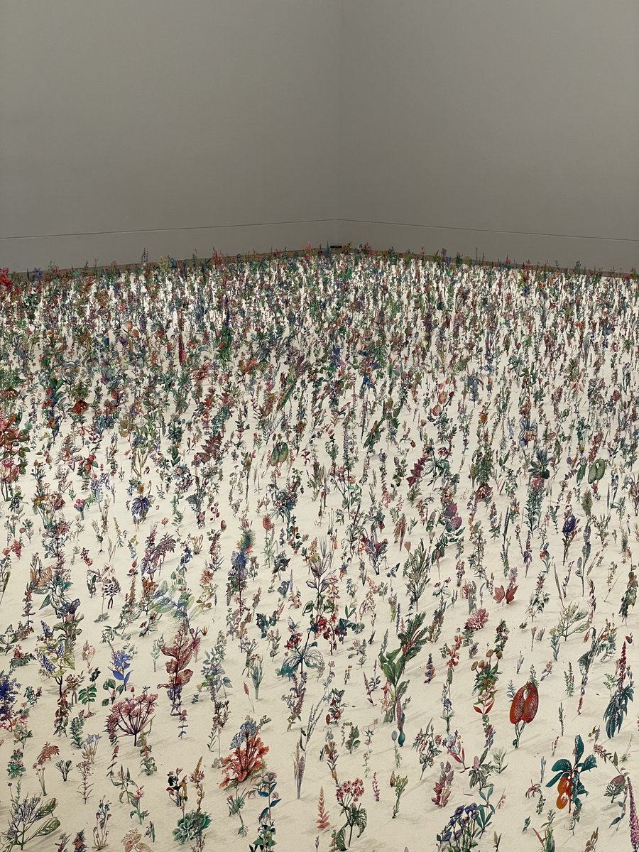 fniccs's tweet image. ไปดู exhibition ของ Zadok Ben-David ที่ Kew garden มา ทุกชิ้นคืออลูมิเนียมฉลุเป็นรูปพืชล่ะ แล้วเอามาจัดเรียงกันเป็นทุ่ง ละเอียดม้ากมาก ชิ้นที่เป็นสีๆก็คือ hand painted อีกที เวลาอยู่รวมกันเป็นทุ่งแล้วน่ารักเชียว มองจากด้านลังเป็นสีดําก็น่ารักอีกแบบ