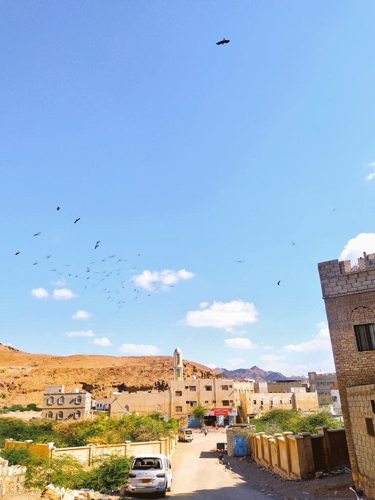 ليت الشباب يرجع

#streetphotography