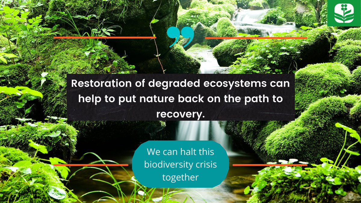 BHI_GLOBAL's tweet image. Some of the main causes of #BiodiversityLoss globally may be summarized as habitat destruction or degradation and unsustainable land management practices,
📌But #Restoration of major biodiversity hotspots like forests through 🌲re-afforestation can help to reverse the trend.