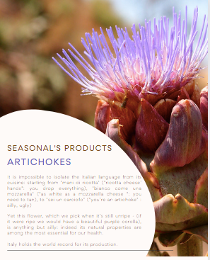 DirectlyItaly's tweet photo. Artichokes are full of healthy benefits, and there is a particular kind which is now EU protected, that grows in Sardinia: the thorny one:  tender &amp; sweet Find out more 👉 https://t.co/swfR1Le8zS
#artichokes #Italian # sardinia #Italy #IGP  #bestquality #deli #foodies #products https://t.co/MPmU5Yv0Jn