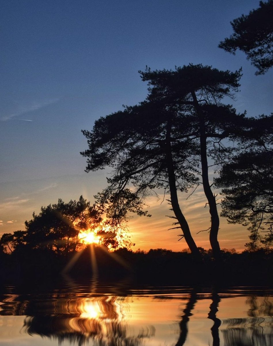 VanGoghNP's tweet photo. Het juiste moment op de juiste plek en de Brabantse zandgronden verbeelden een zwoele zomeravond in de Provence. Gré van Pelt maakte dit mediterrane plaatje op de Strijbeekse Heide. Van Gogh kon de gedachte aan Brabant nooit loslaten. Wij begrijpen dat. @LSDeBaronie https://t.co/2Wwk6EMVJz