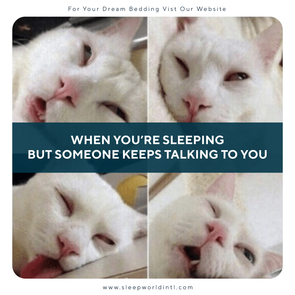 Sleepworldllc's tweet photo. https://t.co/kXIHN8I0Oc