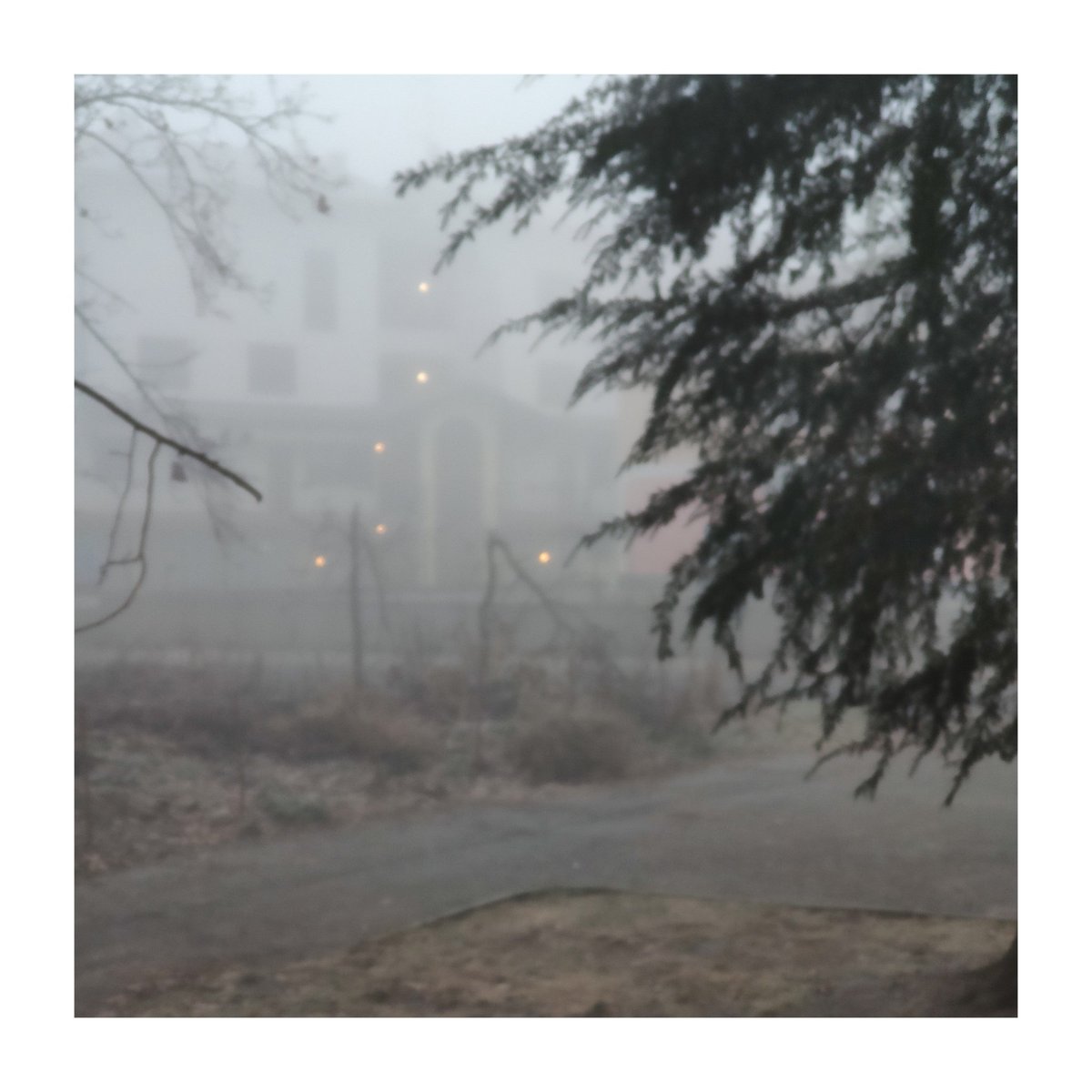 bluele's tweet photo. in nebbia https://t.co/L3Cfv0Nq2N