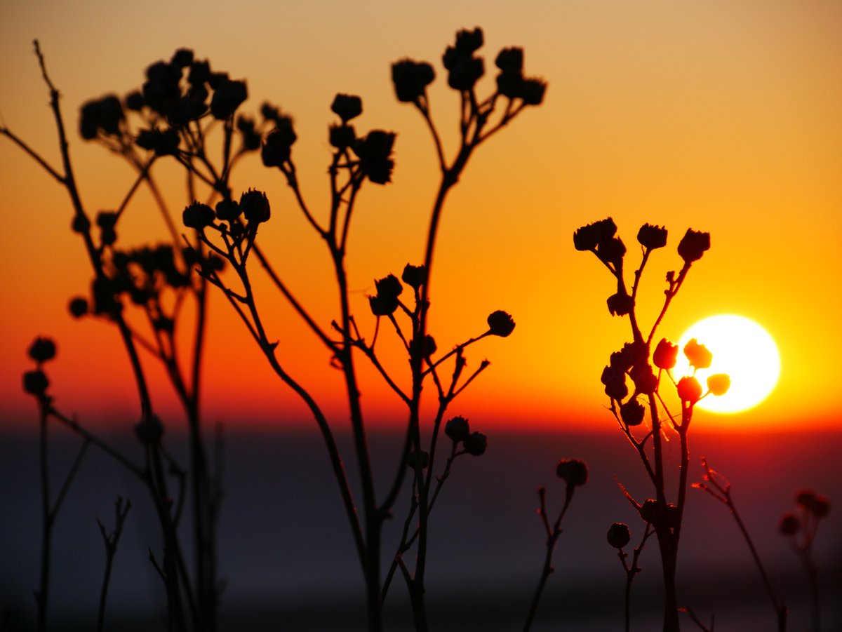 nationaltrust's tweet photo. Catching an exceptional sunset can free your mind to enjoy its awe and be grateful for its magnificence. #EveryoneNeedsNature https://t.co/jikUuobvjv