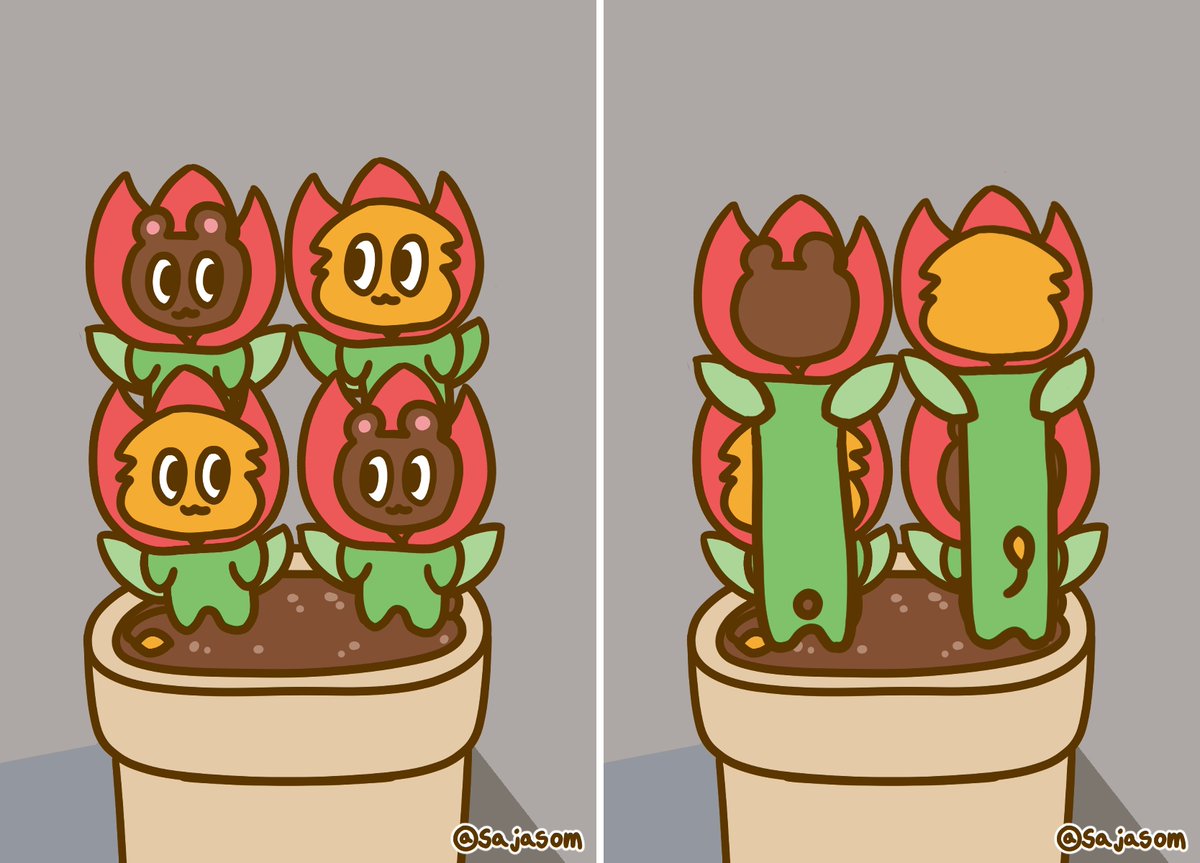 튤립가족 사쟈꾸앙이,,
이렇게 보니까 인생네컷 느낌이네요