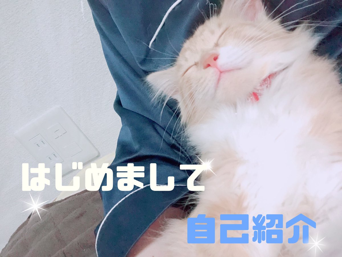 rina2918's tweet photo. 【ゆめくんの成長日記】
ゆめくんYouTubeデビューしました！

沢山見ていただけると頑張れます！
チャンネル登録&amp;コメントいただけると嬉しいです😆 https://t.co/YxHRfdvf06