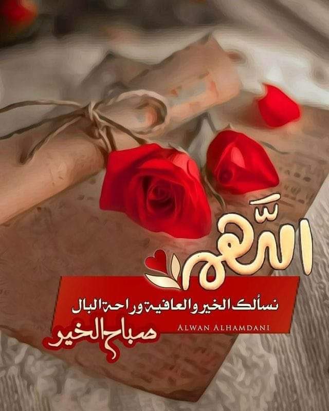 Wahajj5's tweet photo. https://t.co/UEfLq7szMA