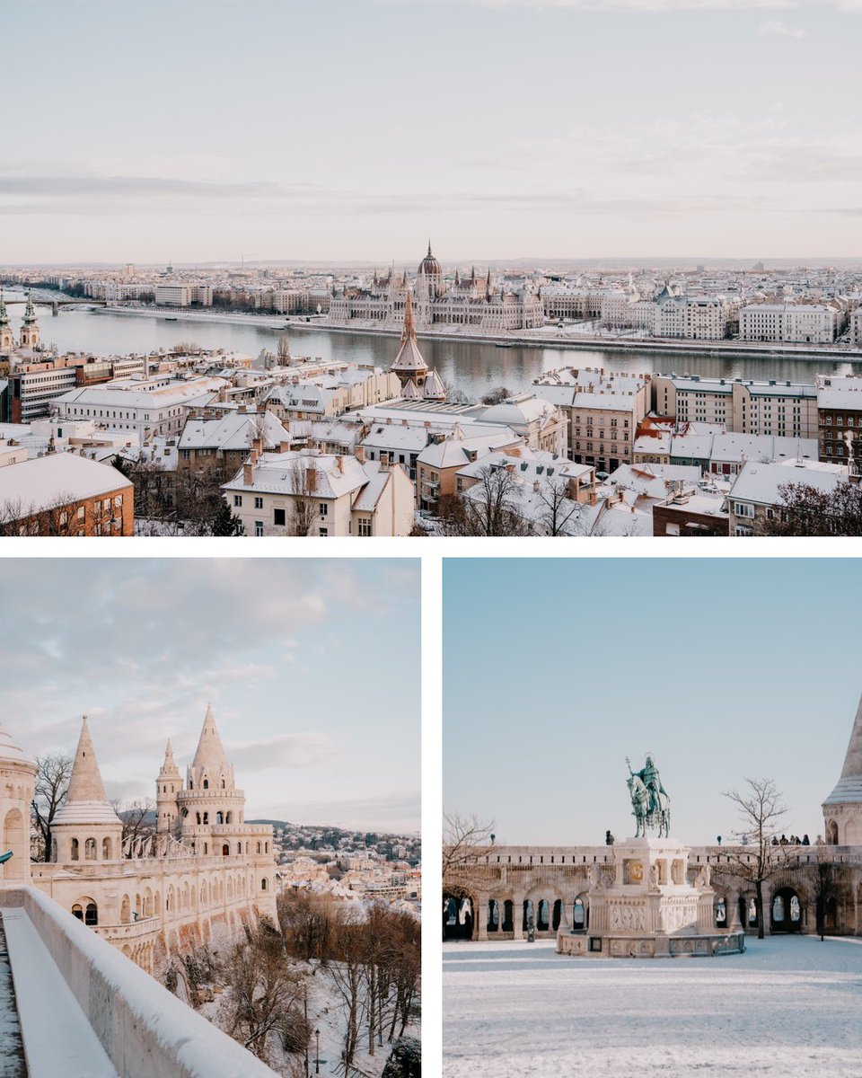 Mark & Mim | The Common Wanderer tweet media