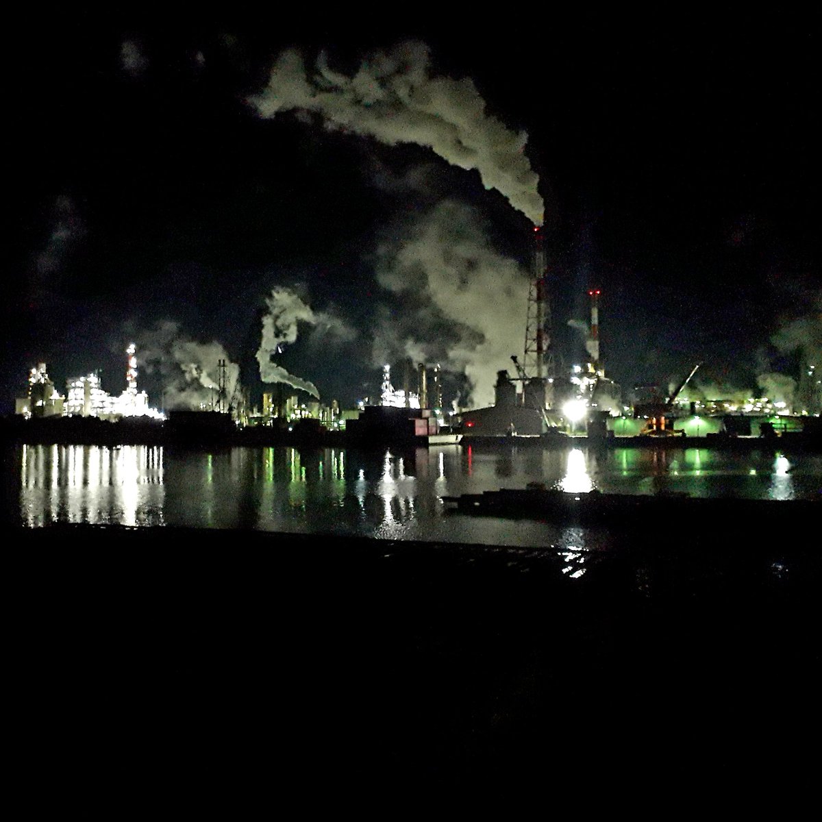 #野良猫　#野良猫が好き　#野良猫とおしゃべり　#夜景   #野良猫茶ァが観ていた景色

｢今日もお空から観てるかい?…茶ァ。。｣