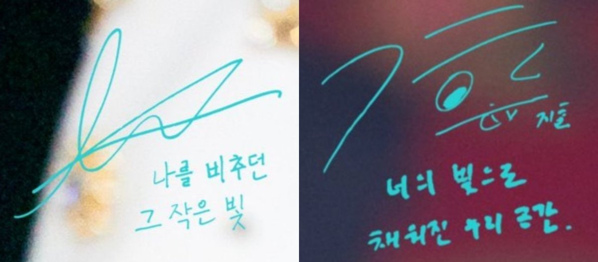 라지팀2033 tweet media