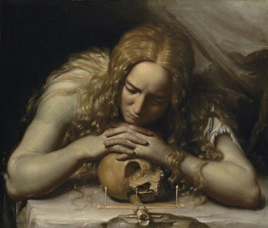 niklasgv's tweet photo. Lema escolástico: "Nihil scire foelicissima vita"; una vida muy feliz es no saber nada. https://t.co/ZdUyy3JYxy