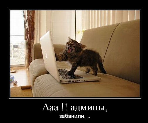 Be1_ru's tweet photo. https://t.co/gNdBMEaPhe