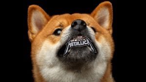 BigrasAndre's tweet photo. @elonmusk Is it just me who sees this? 
#crypto #dogecoin #memecoin #Metallica #shibainu https://t.co/oxgIPgMwOf
