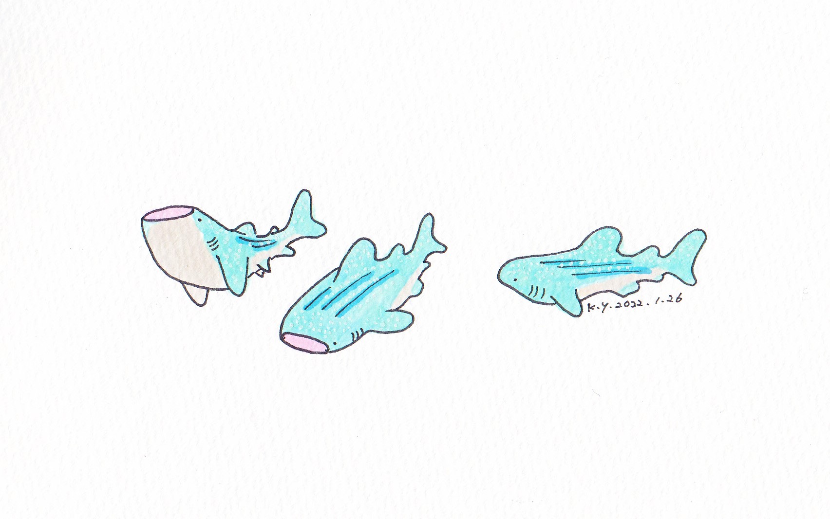 ゆりこうだい 2126 1 ジンベエザメ 一日一絵 イラスト 手描きイラスト コピック Copic ジンベエザメ サメ 鮫 魚 水族館 T Co Up3ovelss7 Twitter
