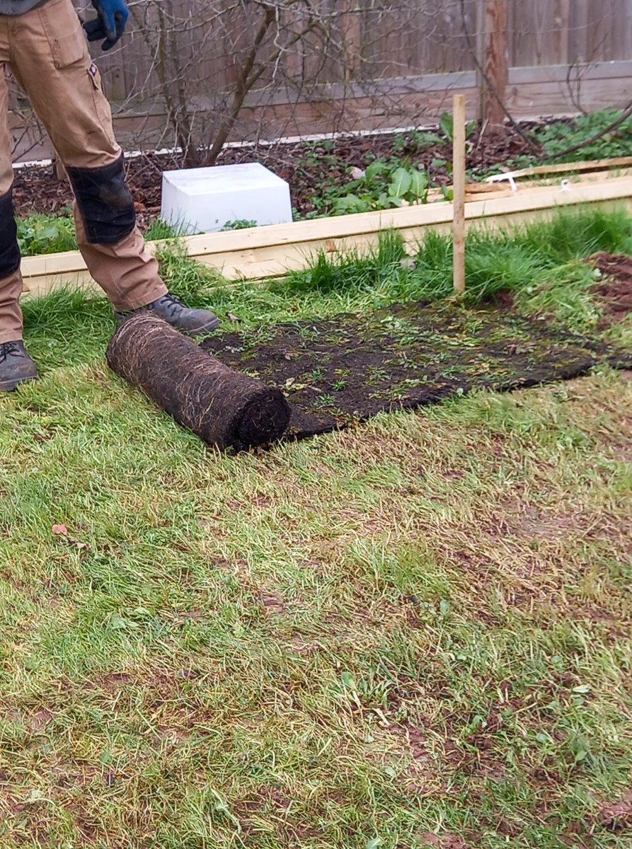 LCCymru's tweet photo. Week 2 of the Caldicot Keep Wales Tidy garden project funded and supported by John Lewis and Keep Wales Tidy. This week, participants have been filling the raised beds with soil, planting the wildflower turf and weeding some of the current raised beds.

#KeepWalesTiday #Awareness https://t.co/7rvIayT0G2