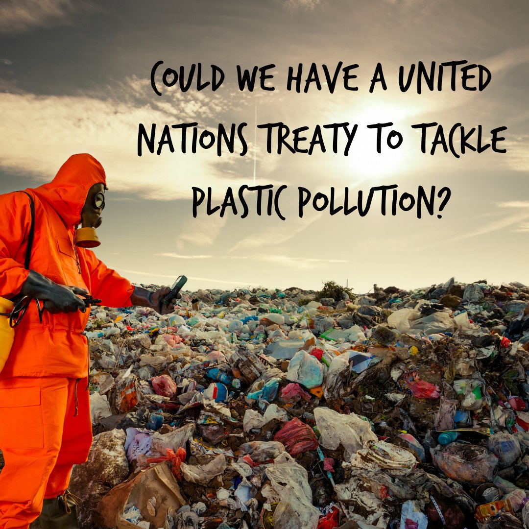 Anything But Plastic tweet media