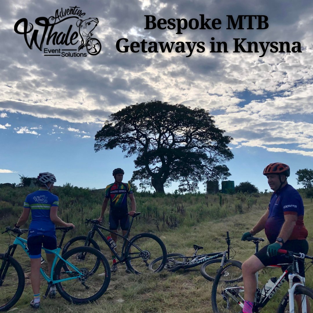 AdvWhale's tweet photo. Want to escape for a few days & explore some spectacular #mtbtrails #knysna
Not sure where to ride, where to stay and how to get your bikes here? #wedoitforyou
Contact us for a bespoke package
https://t.co/1FzcfUPyGb
(T's&C's)
@deView_BnB
#mtb #exploreknysna #deviewbnb https://t.co/lURFDaNY83