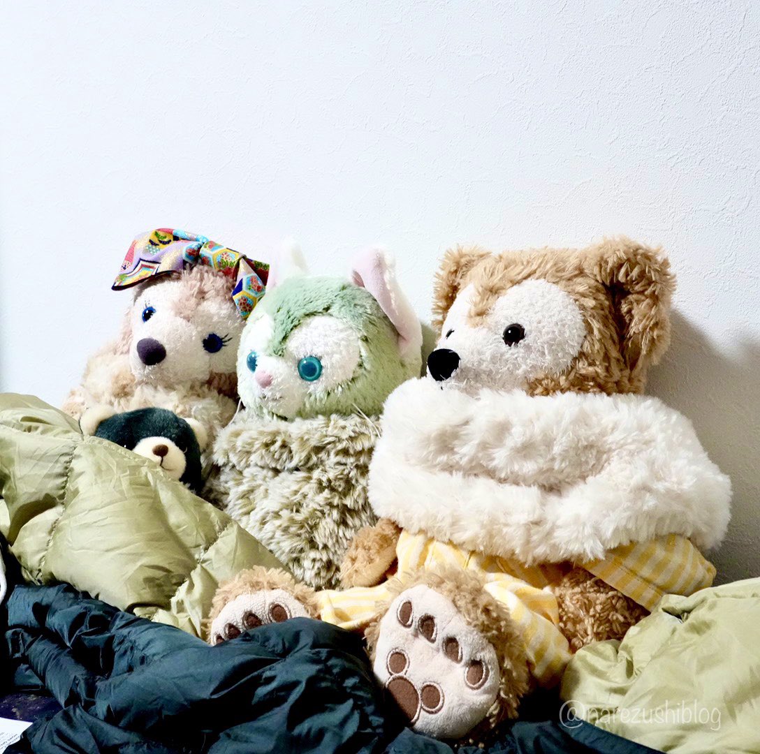 narezushiblog's tweet photo. 🐻たちのなう。
#ぬい撮り #duffy #potte 
#sunarrow https://t.co/F02v3s5rQ9