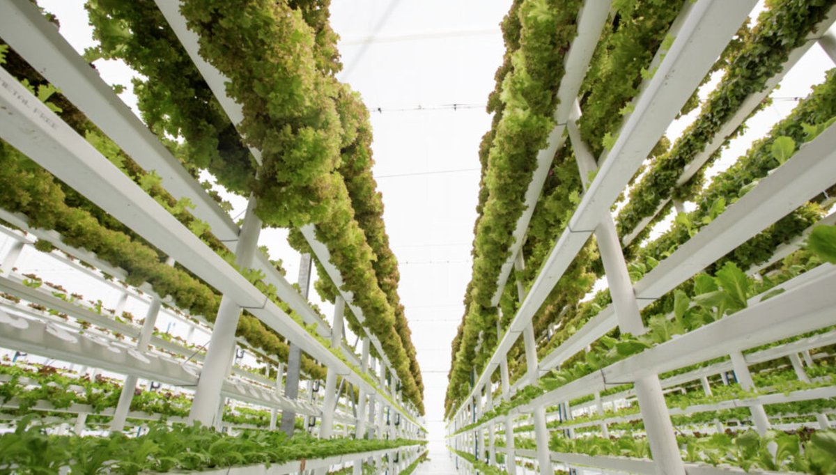 London-based vertical farming start-up <a href="/Vertical_Future/">Vertical Future</a> secures £21M in Series A round  hubs.ly/Q012V-lX0