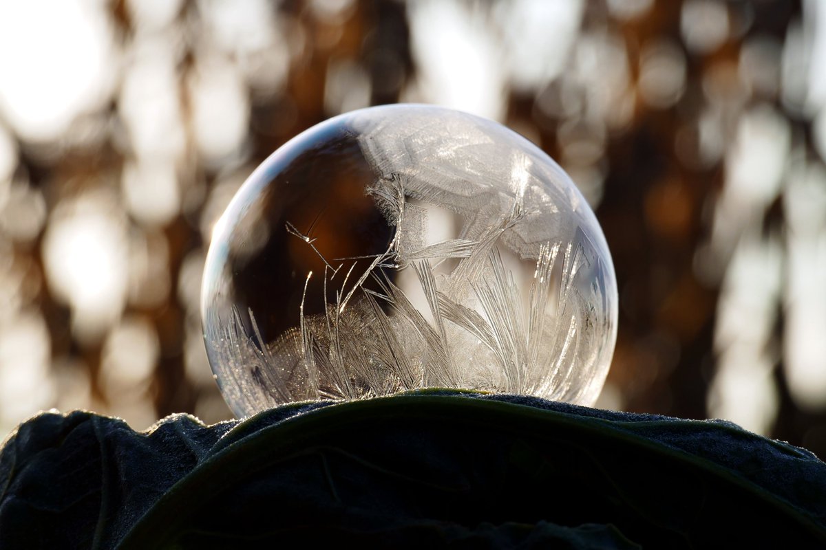 James_Akrill's tweet photo. Late up, surprise #Frost, #Bubbles wouldn't stick or pop so this was the best I could muster today. #FreezingBubbles #FrozenBubbles #Frozen #Soap #Bubble #Photography https://t.co/Anpj6Dmf4Y