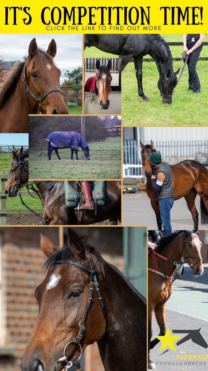 Racing_Clubs's tweet photo. Out free to enter competition is now live until Sunday with 1000’s of free shares up for grabs.

Retweet’s appreciated 🙏🏻

Enter for free here ⬇️
https://t.co/6RcTUf3Ijm https://t.co/hkXEyx2wD7